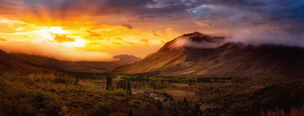 Fotobehang Chocoladebruin Beautiful Panoramic View of Colourful Fall Forest and Mountains in Tombstone. Sunset or Sunrise Sky Composite. Tombstone Territorial Park, Yukon, Canada. Nature Background Panorama  © edb3_16