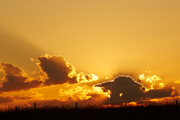 Amazing sunset with dark backlit clouds  over a field with long grass and fence on border of MN and WI