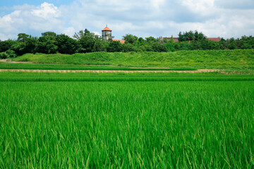 田園とブレーメの丘