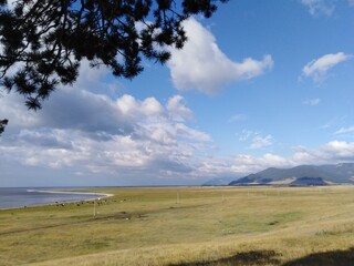 Fototapeta premium landscape with sky