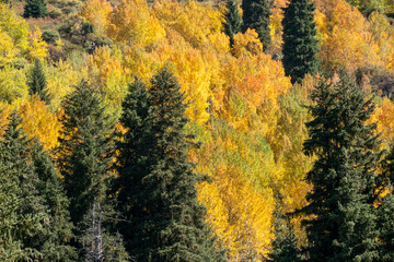 autumn in the mountains