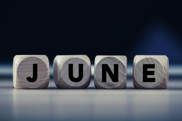 June Concept Wooden Cube Blocks