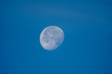 A piture of moon in the  blue sky.    Vancouver BC Canada
