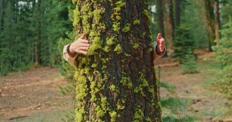Nature lover on sunny autumn day. Environmentalist is hugging tree in forest and loving nature. Hands of adult female environmental activist are wrapped around tree trunk in woods. Slow motion nature