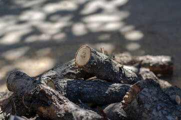 Closeup of firewood randomly spread out.