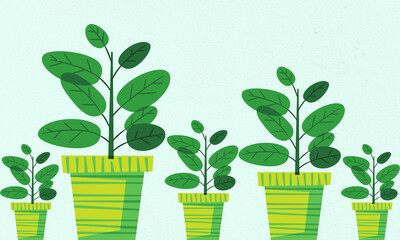 green plant in pots on light blue background