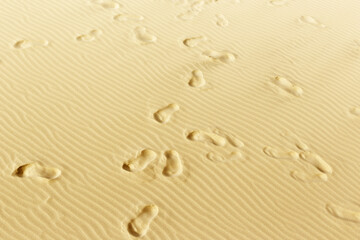 Fototapeta na wymiar Top view on sand dunes. Footsteps in the sand