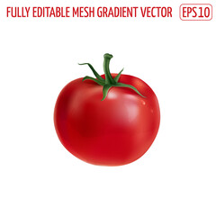 Fresh red tomato on a white background.