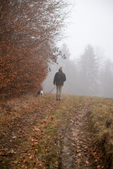 Obraz premium Spaziergang mit dem Hund im Herbstwald- Mann mit Hund im Nebel