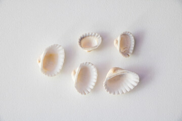 summer sea simple props photography
