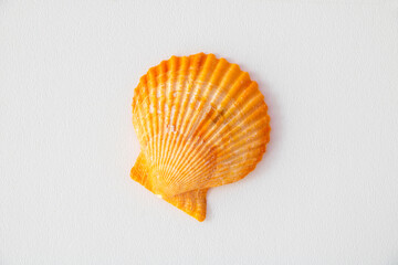 summer sea simple props photography
