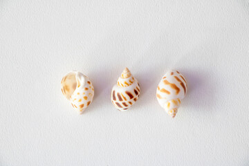 summer sea simple props photography
