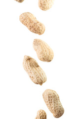 Dropping unpeeled peanuts isolated on white