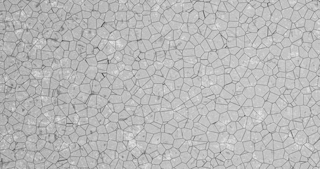 the texture of a white stone