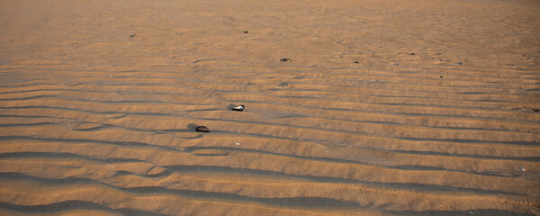 ondes sur le sable