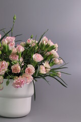 Pink Flowers on Pink Background , Pink Mini Carnation Flowers, Spray Carnation,  in a White Flower Pot, Grey Background