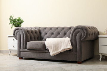 Cozy interior with sofa against light beige wall