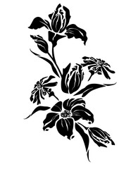 Flower branch isolated on white background