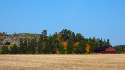 autumn landscape in the mountains