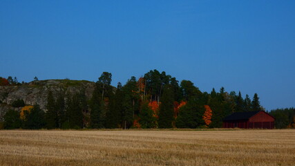 autumn landscape with trees