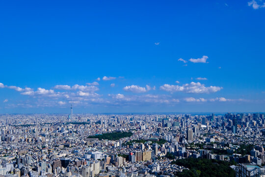 264 Best サンシャインシティ Images Stock Photos Vectors Adobe Stock 264 Best サンシャインシティ Images Stock Photos Vectors Adobe Stock