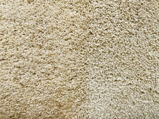 Dry cleaning of the sofa, mattress, carpet, extractor and mechanical brush