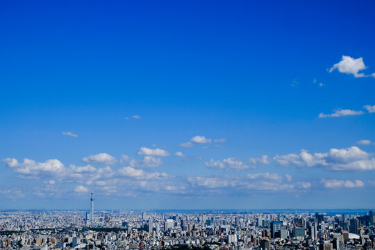 264 Best サンシャインシティ Images Stock Photos Vectors Adobe Stock 264 Best サンシャインシティ Images Stock Photos Vectors Adobe Stock