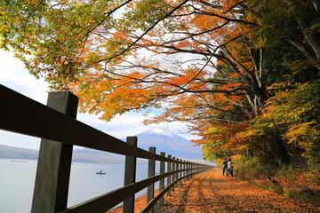 富士山を望む秋の山中湖畔の遊歩道（縦）