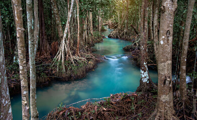 Clear and emerald waterway in the tropical forest.
