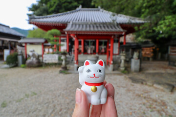 お松大権現_御神籤