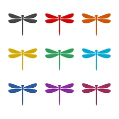 Simple dragonfly icon, color set