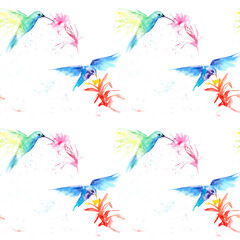Fototapeta premium watercolor drawing of a bird - a hummingbirds seamless pattern