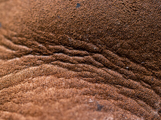 Closeup of leather texture