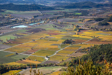 Naklejka premium Vignoble de Châtillon-en-Diois