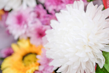 Bunch of flowers for background