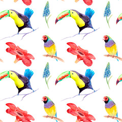 Obraz premium watercolor drawing of birds - toucan and guldova amadina, gould finch - seamless pattern
