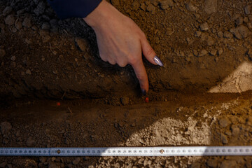 Corn seeds planting depth and spacing