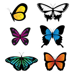 Obraz na płótnie Canvas Colorful Butterfly Set Vector Illustration with Gradient Color.