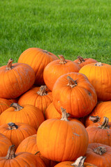 Große orangene Kürbisse für Halloween