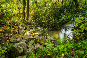 Small and calm stream in the heart of wild forest. Emerald green summer forest. 