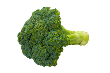 Fresh tasty broccoli isolated on white background.
