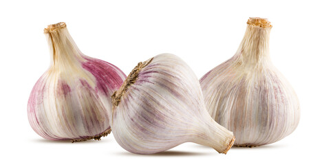 Garlics isolated on white background