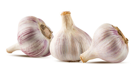 Garlics isolated on white background
