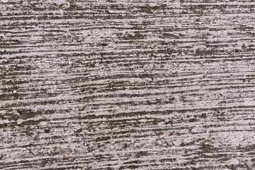 A wooden bark texture of a wall grey in color