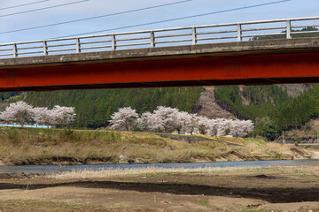 山間部の河川と赤い橋と桜