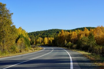 Autumnal Park. Autumn Trees and Leaves. Fall. Golden green orange leaves. Golden birch. The road going far away through the golden magic forest 