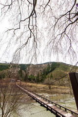山村部の木製の吊り橋と桜の花