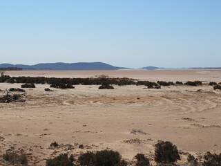 Fototapeta na wymiar Lake Mason, dry saltlake in Australia