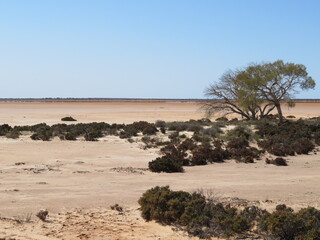 Lake Mason, dry saltlake in Australia