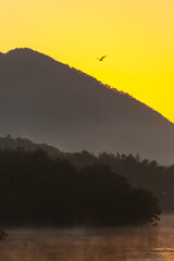 三角形の山と朝焼けの空を飛ぶ鳥